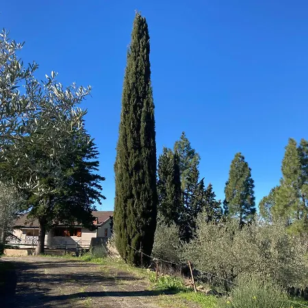 La Casa Delle Olive *