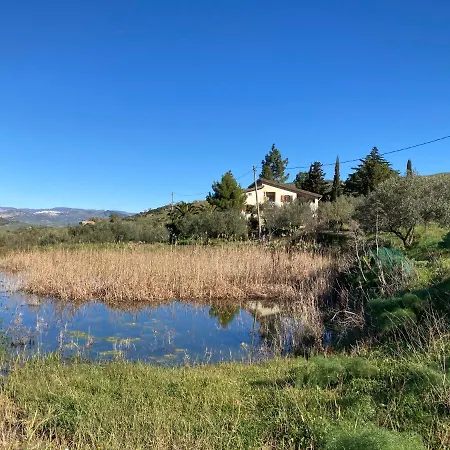 La Casa Delle Olive *