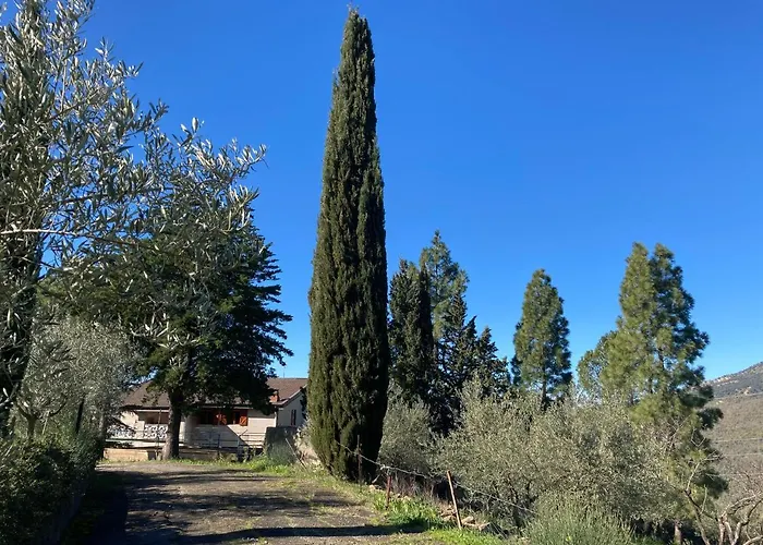 La Casa Delle Olive *