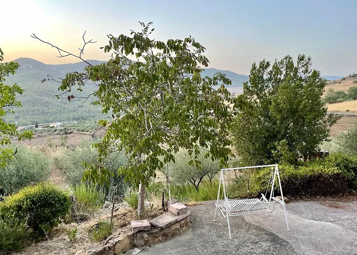 La Casa Delle Olive Lodge *